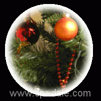 Natale 2007: si inizia con l’albero!